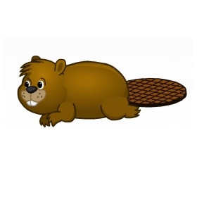 Chuck the Beaver